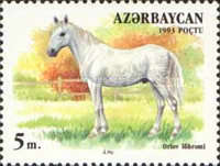 [Horses, type AE]