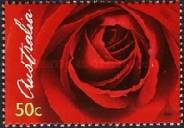 [Roses, type CLM]