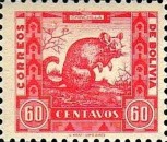 [Animals, type CZ]