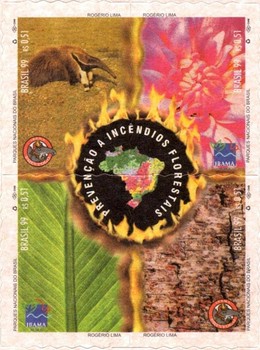 [National Campaign for Prevention and Combat of Forest Fires, PREVFOGO, type ]