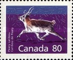 [Canadian Mammals, type AQJ]