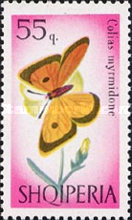 [Butterflies and Dragonflies, type XD]