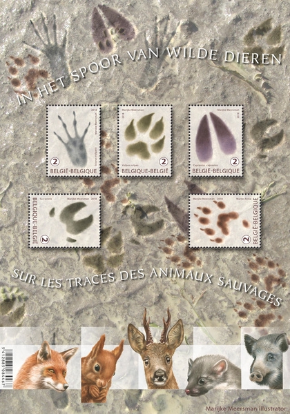 [Animal Footprints, type ]