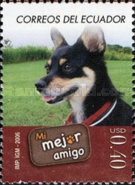 [House Pets, type DHO]