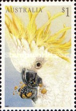 [House Pets, type APY]