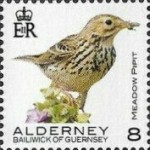 [Definitives - Alderney Birds, type YP]