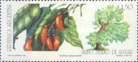 [Local Nut Bearing Trees, type BUO]