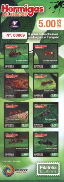 [Ants, type ]
