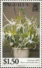 [Christmas - Flower and Garden Show, type APP]
