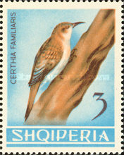 [Birds, type PR]