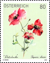 [Flowers, type DPW]