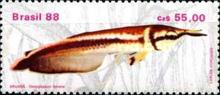 [Freshwater Fish, type CHI]