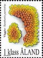 [Lichens, type EY]