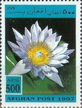[Flora - Flowers, type AOG]