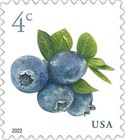 [Definitives, type IOZ]