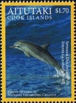 [Pacific Marine Life - Marae Moana, type XW]