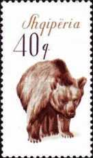 [The Brown Bear, type VP]