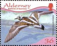 [Birds - Waders, type MM]