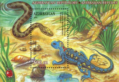 [Reptiles, type ]