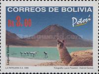 [Bolivian Departments - Potosi, type AWI]