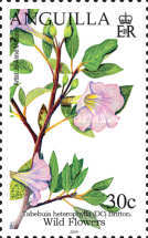 [Fauna - Wild Flowers, type AXA]