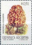 [Fungi, type BSS]