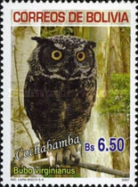 [Birds of Bolivia - Cochabamba, type BHX]