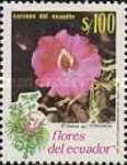 [Flowers, type CCA]