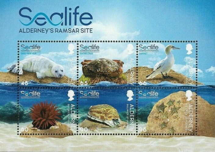 [Alderney Ramsar Sealife, type ]