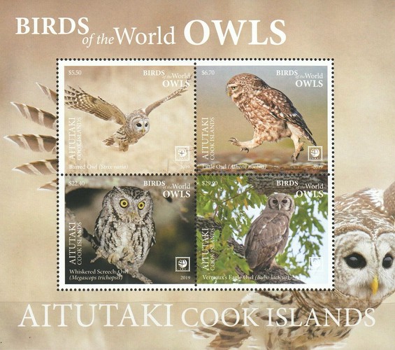 [Birds of the World - Owls - White Frame on 2 Sides, type ]
