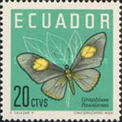 [Butterflies, type AOB]