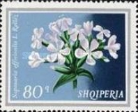 [Medicinal Plants, type XKC]