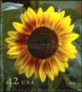 [Sunflower - Self-Adhesive, type FKY]