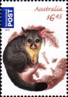 [Fauna - Australian Bush Babies, type DVF]