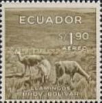 [Airmail - Local Motives, type AEX]
