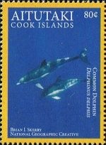 [Pacific Marine Life - Marae Moana, type XR]