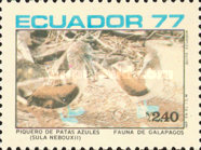 [Birds of the Galapagos Islands, type BLW]