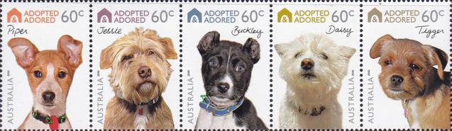 [Adopted and Adored (Dogs), type ]