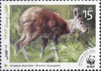 [WWF - Himalayan Musk Deer, type XYB]
