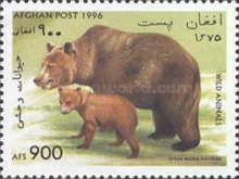 [Fauna - Bears, type AMA]