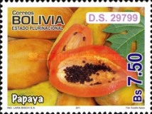 [Flora - Fruits, type BPK]