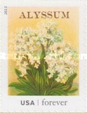 [Vintage Seed Packets, type GIC]
