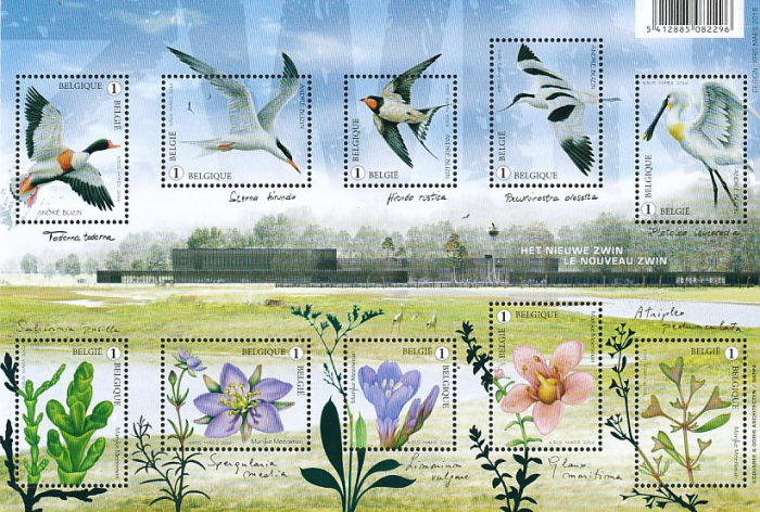 [Birds & Flowers - Zwin Nature Reserve, type ]