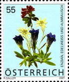 [Flowers, type CKQ]