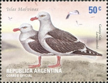 [Birds, type COR]