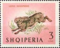 [Animals - Mammals, type OL]