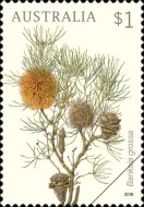 [Flora - Banksias, type EMP]