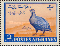 [Day of Agriculture - Animals, type HF]