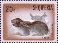 [Rabbits & Hares, type ABL]