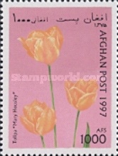 [Flowers - Tulips, type ANU]